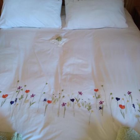 Bed and Breakfast Les Dames De La Saugiat Le Fied Экстерьер фото